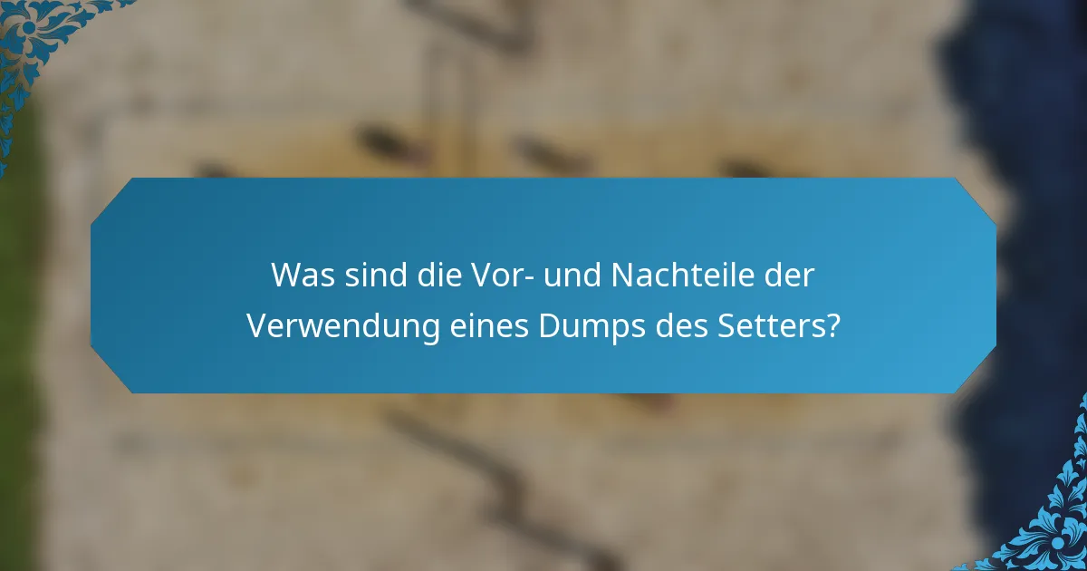 Was sind die Vor- und Nachteile der Verwendung eines Dumps des Setters?